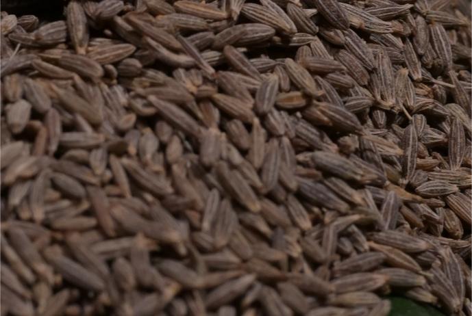 Cumin Seeds